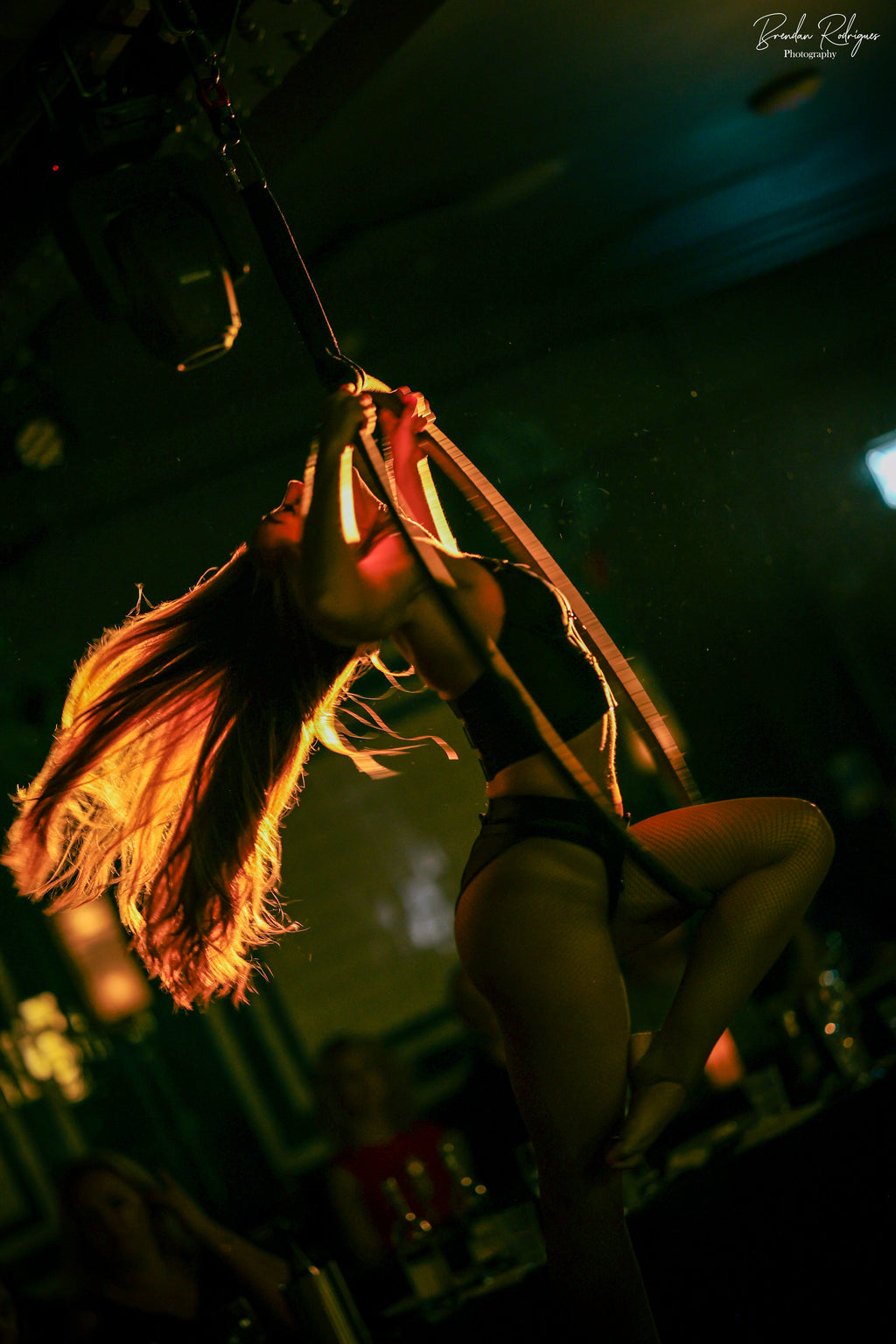 The Scarlet Lotus Presents: Santa's Secret Cabaret Dinner