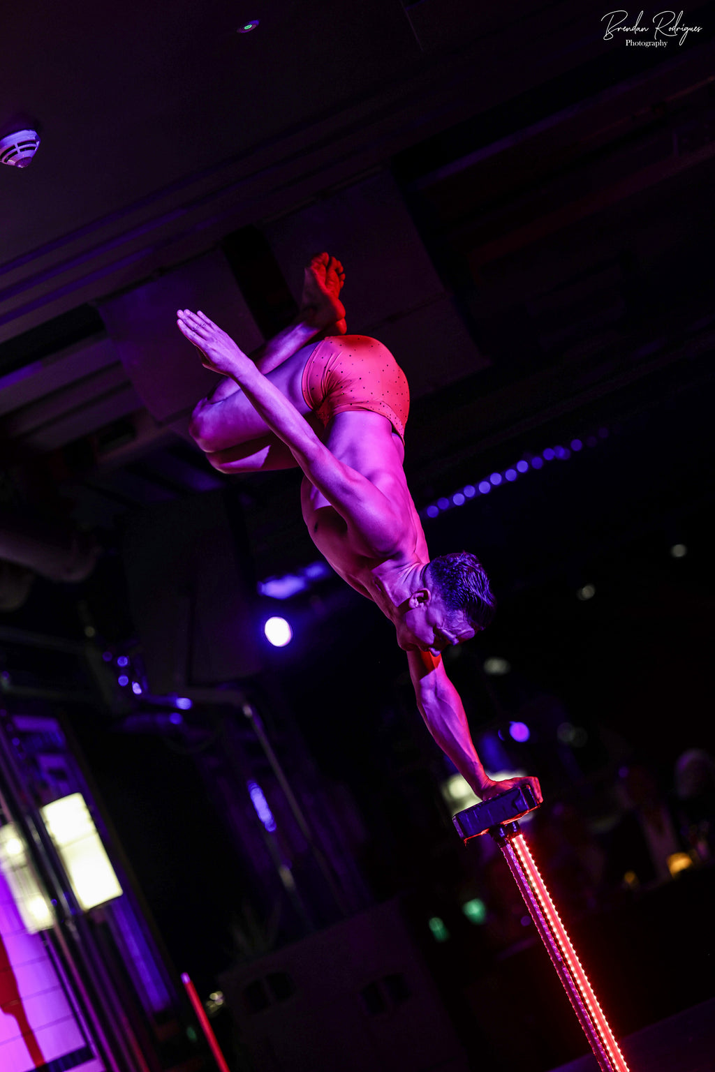 The Scarlet Lotus Presents: Santa's Secret Cabaret Dinner